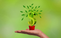 investimento