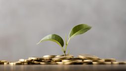 investimentos para iniciantes