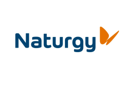 Naturgy fatura